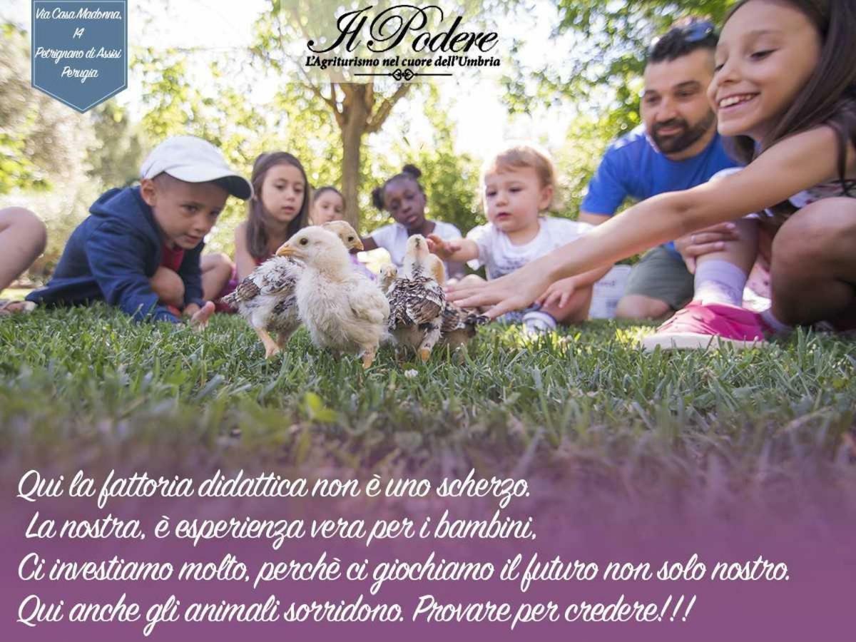 Agriturismo Il Podere Hotel Petrignano Eksteriør billede