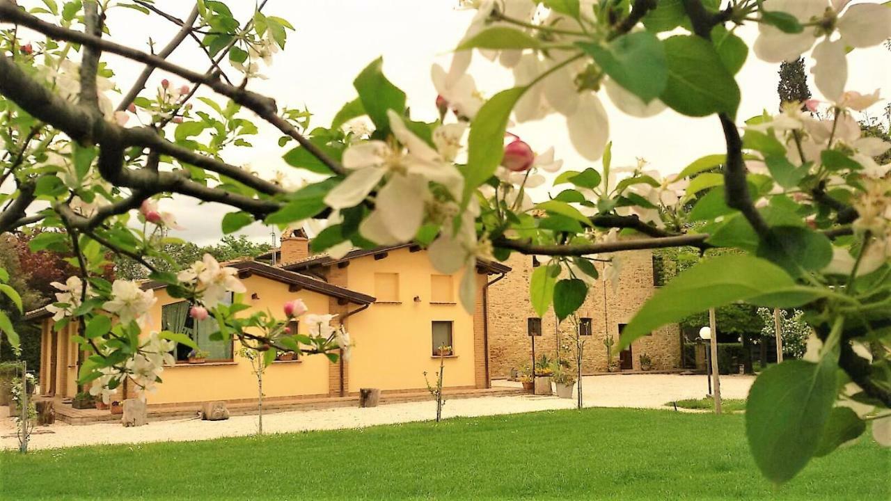 Agriturismo Il Podere Hotel Petrignano Eksteriør billede