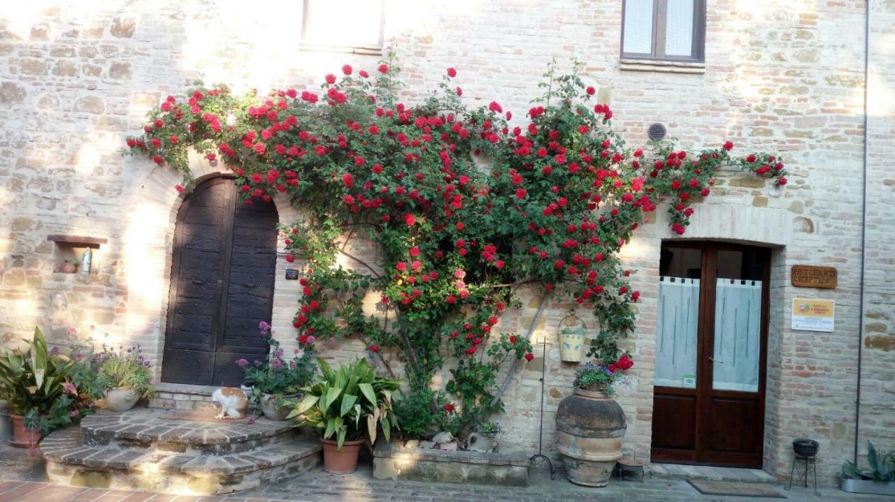 Agriturismo Il Podere Hotel Petrignano Eksteriør billede